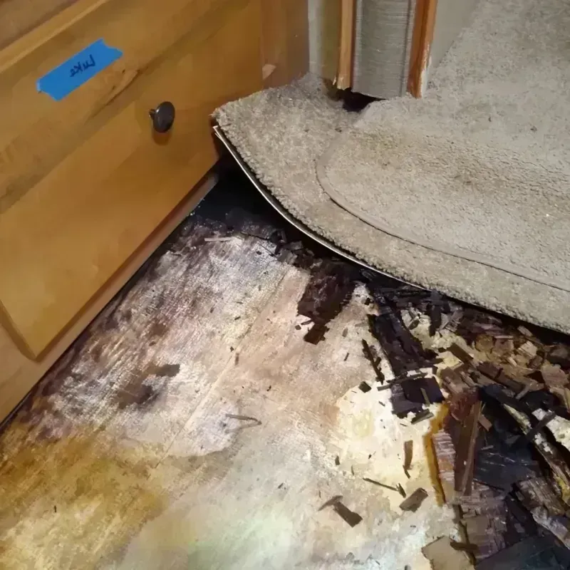 Wood Floor Water Damage in Bangor, MI